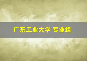 广东工业大学 专业组